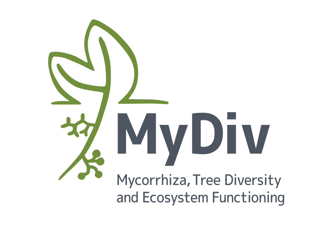 Website of the underlying software (BEXIS2)